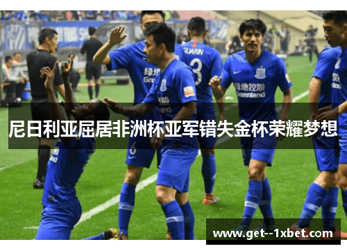 尼日利亚屈居非洲杯亚军错失金杯荣耀梦想